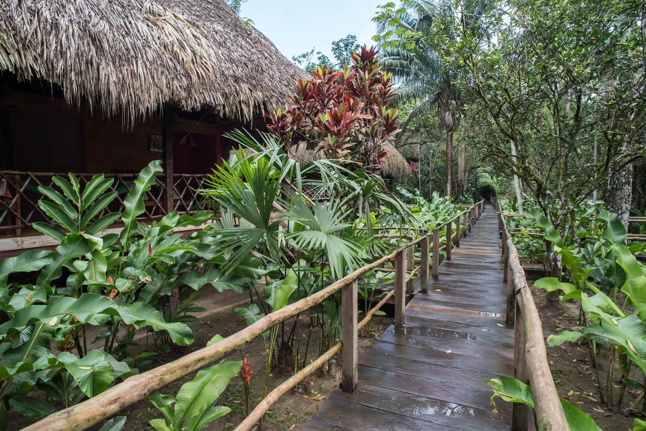 Las Guacamayas Lodge Resort, Selva Lacandona, Chiapas Mexico Tlatizapán Buitenkant foto